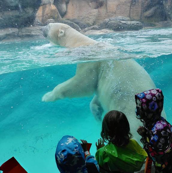 Meet your Posher, Ann - Picture 1 of 1